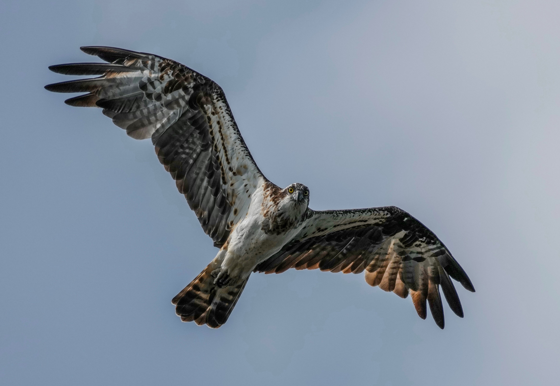 Krabi Overseas Workshop, Jan 2026